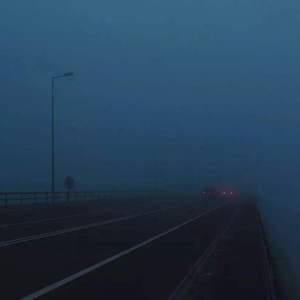 国模叶桐大胆瓣开下部
